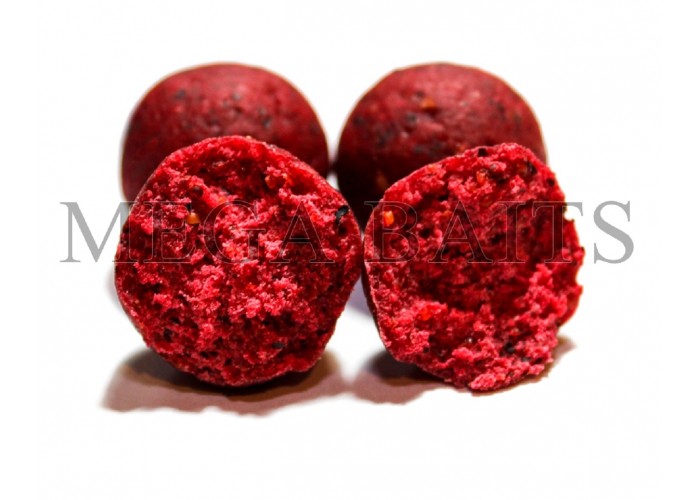 Бойлы  MEGA BAITS пылящие 24мм Слива - Ракушка